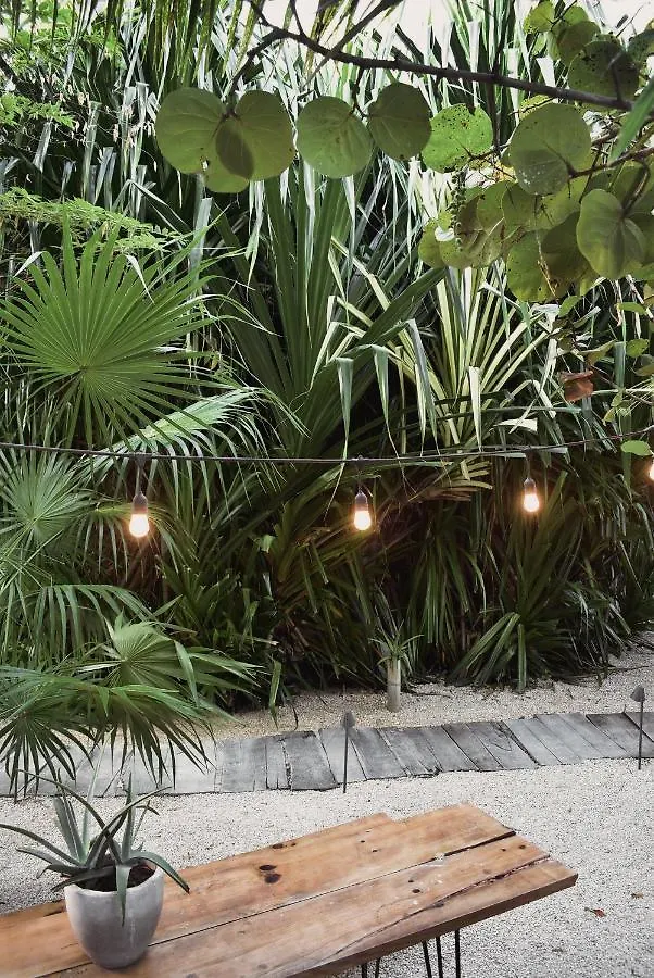 Amor Rooms Tulum