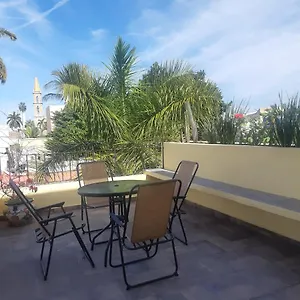 Aguacate , Mazatlan Mexico