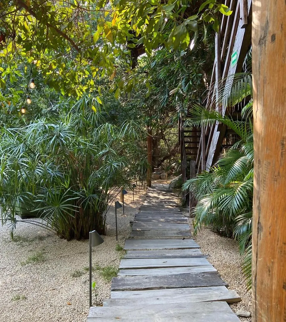 Amor Rooms Tulum 2*,  Messico